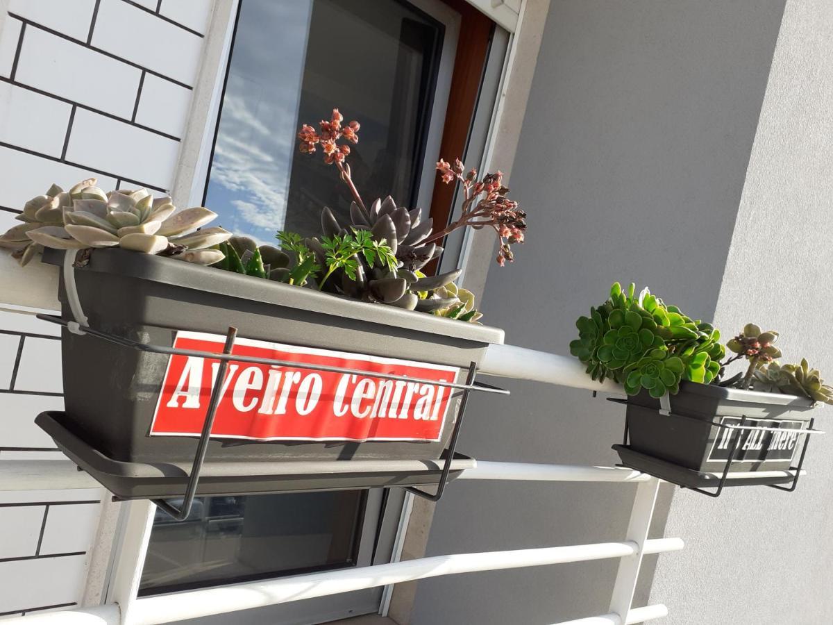Apartament Its There *